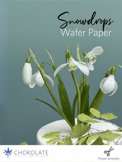 Snowdrops Template