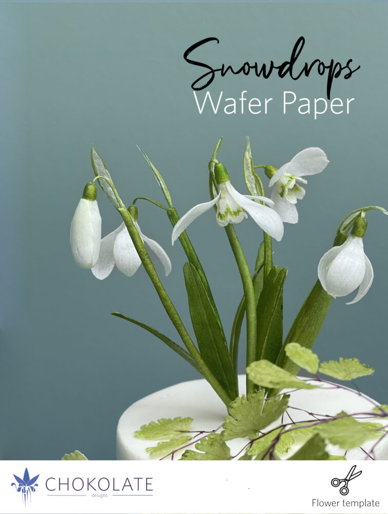 Snowdrops Template