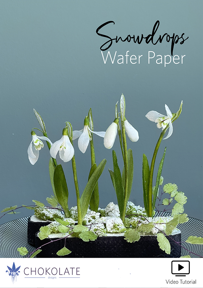 Wafer Paper Snowdrops