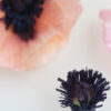 Wafer Paper Poppy Stamens
