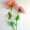 Wafer Paper Poppy