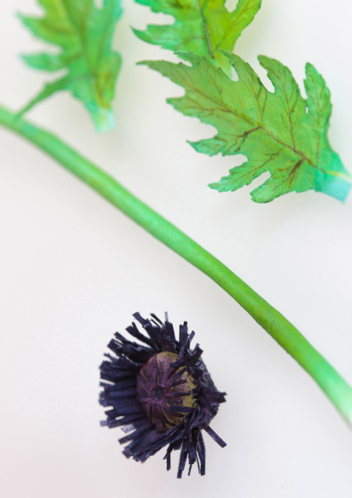 Wafer Paper Poppy Stem