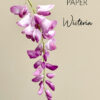 Wisteria Template - Chokolate Designs